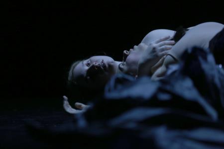 PLESNA REVIJA 28 FOTO LJUBO VUKELIČ